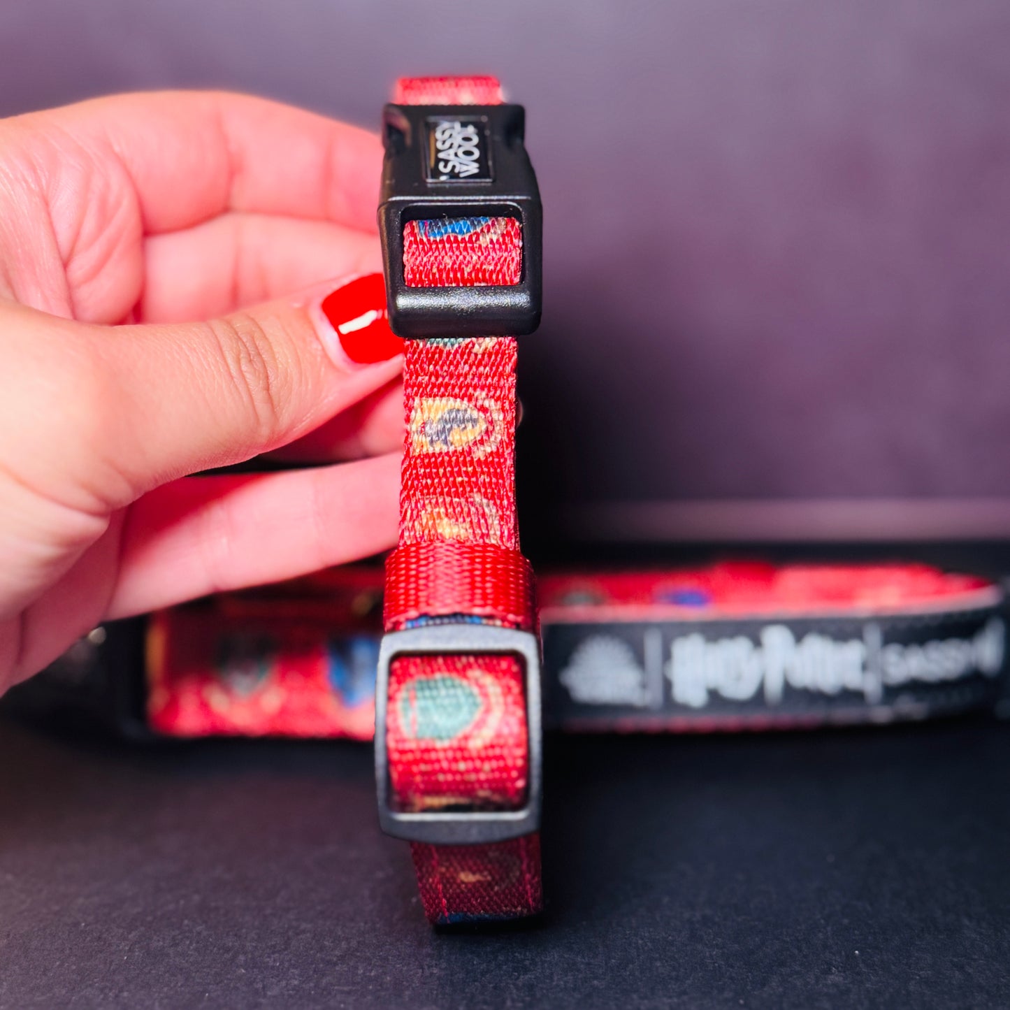 Welcome to Hogwarts Collar