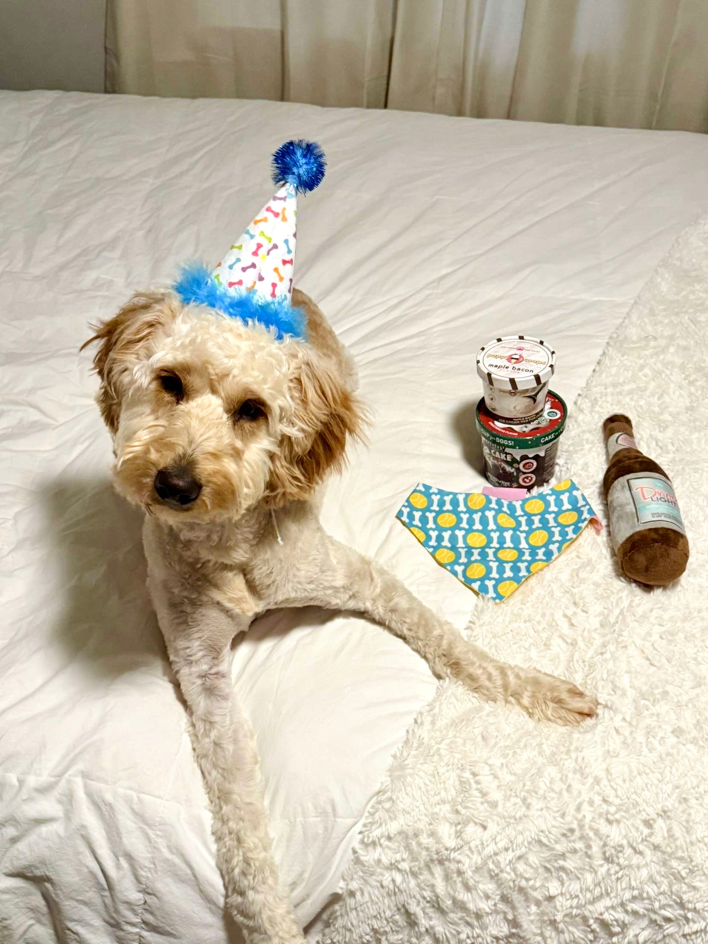 Blue Party Hat- Large