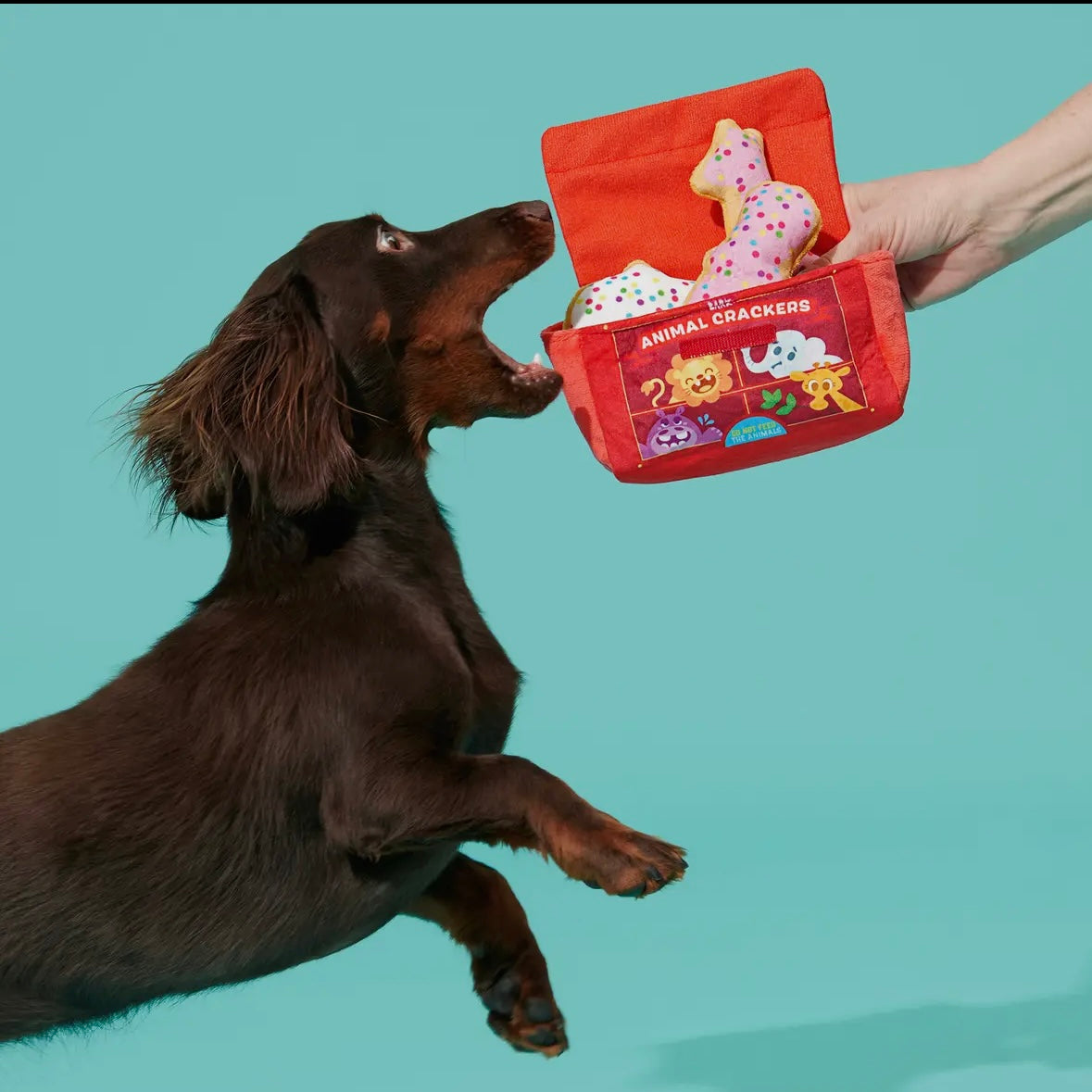 Animal Cracker Box