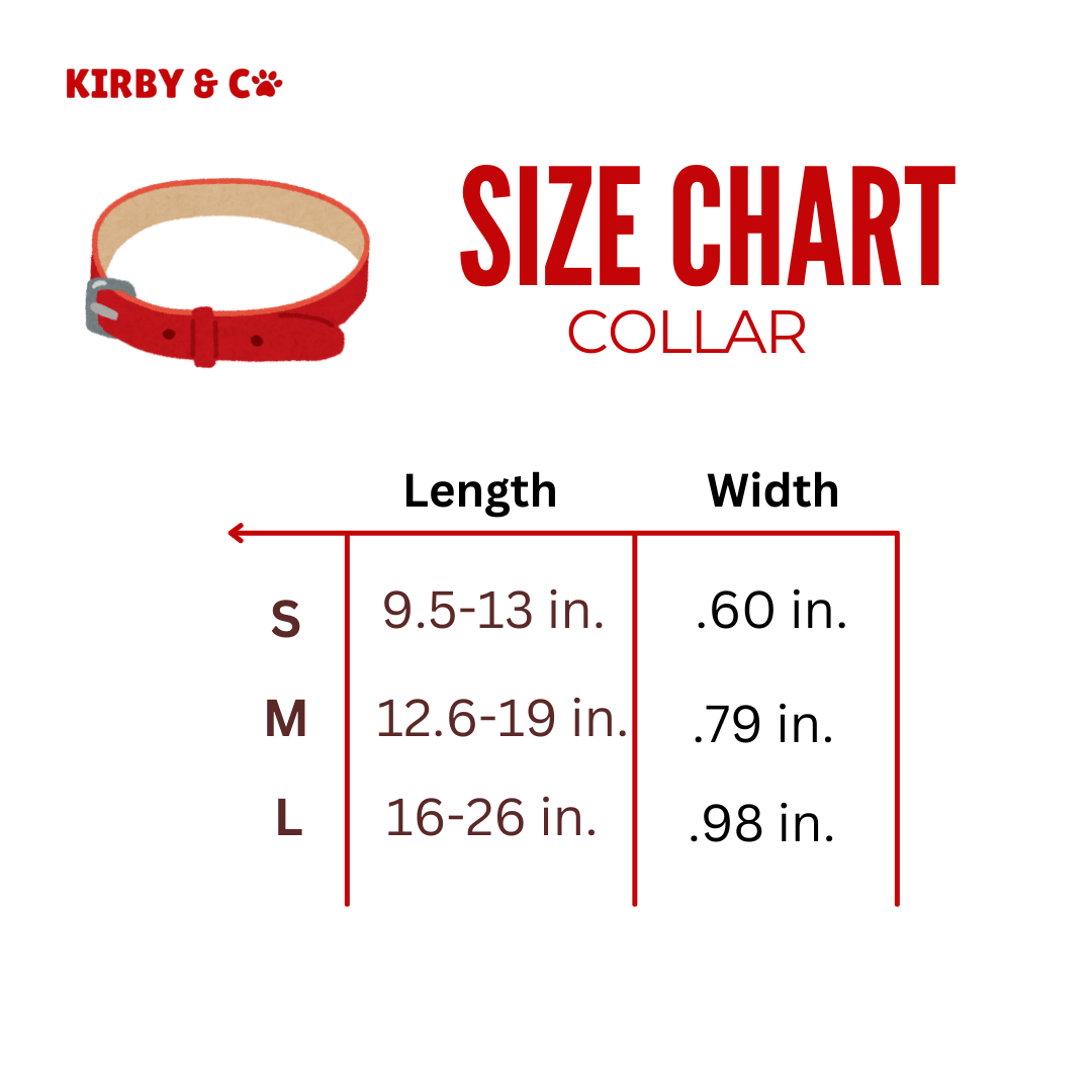 Welcome to Hogwarts Collar