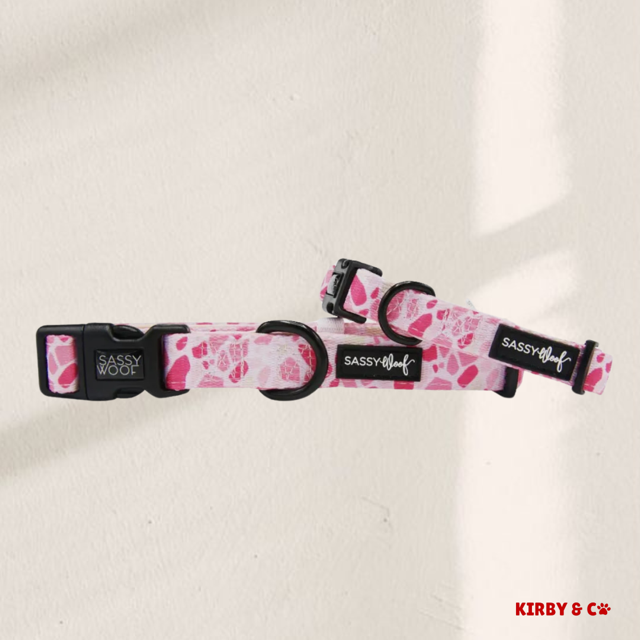Pink Confetti Collar- 1 LEFT!