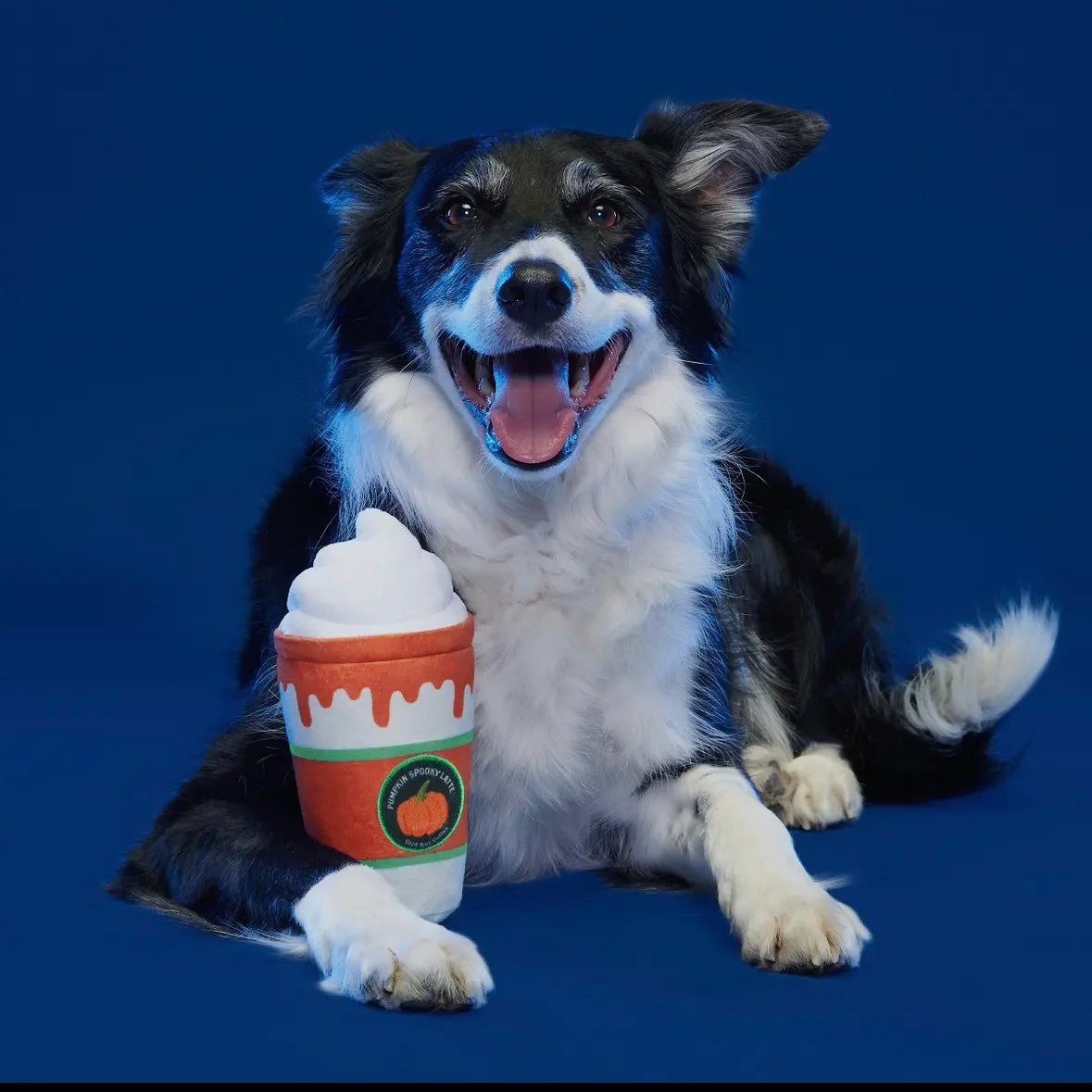 Pumpkin Latte