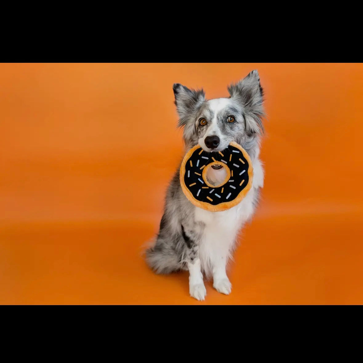 Spooky Sprinkle