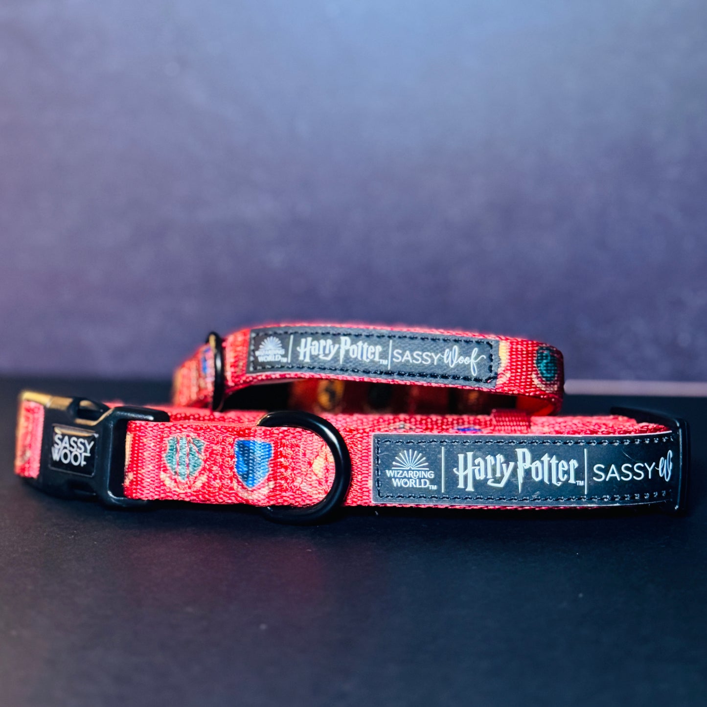Welcome to Hogwarts Collar