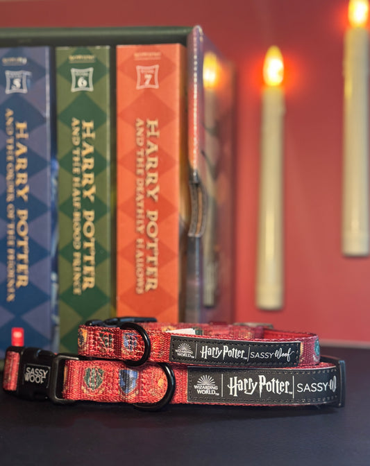 Welcome to Hogwarts Collar