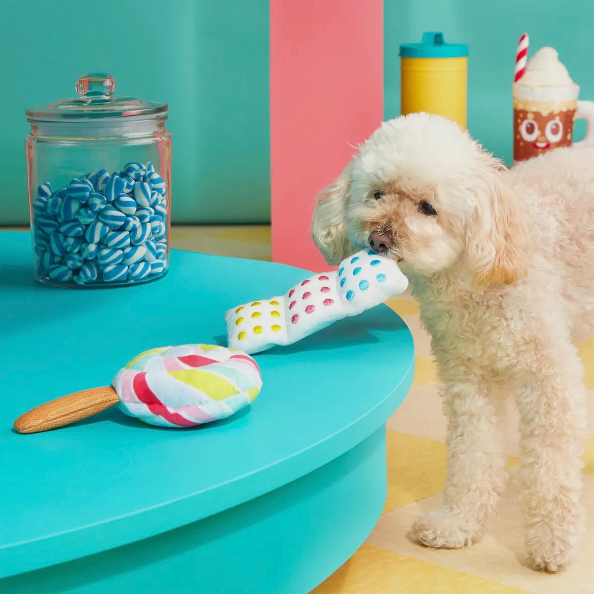 Lolly Palooza