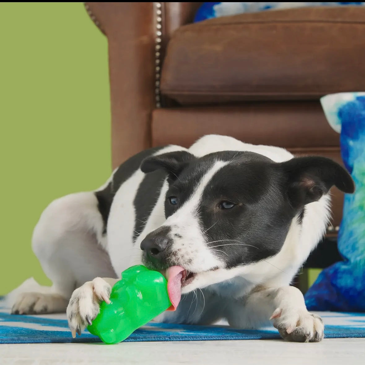 Gummy Bear- Super Chewer