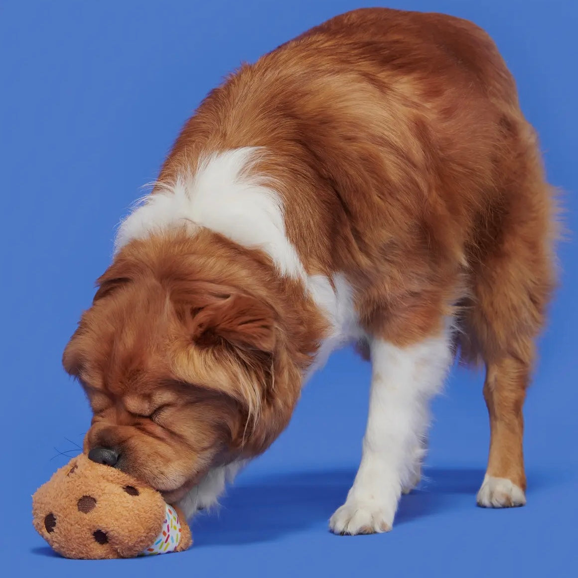 Funfetti Sniffwhich