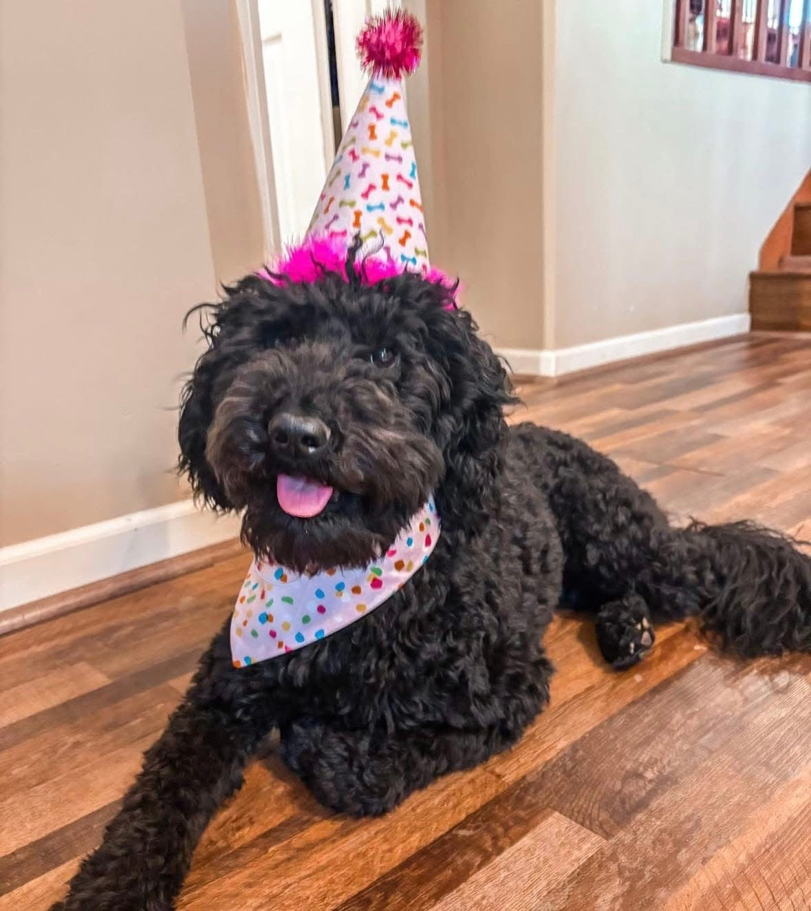 Pink Party Hat- Small